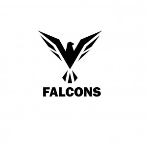 Fosse Falcons